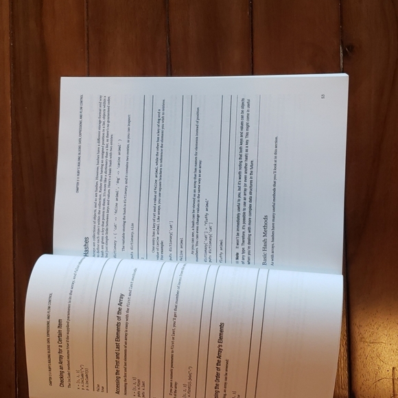 Begging Ruby Coding - Picture 3 of 3